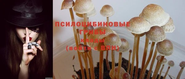 гидропоника Дмитров