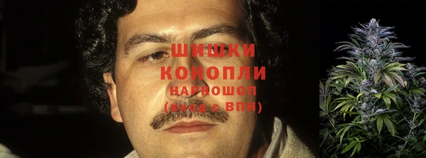 гашик Дмитриев