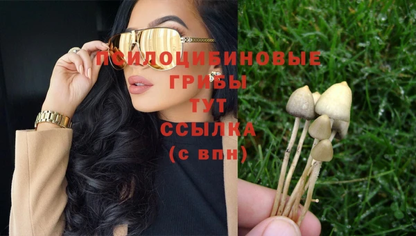 гидропоника Дмитров