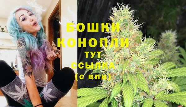 гидропоника Дмитров
