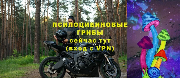 гашик Дмитриев