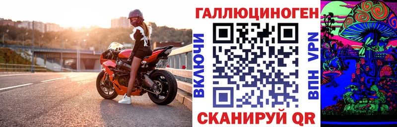 Купить  Катав-Ивановск  Галлюциногенные грибы MAGIC MUSHROOMS 
